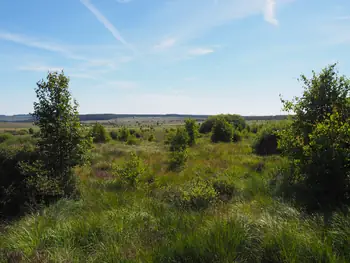 Signal de Botrange (Belgium)